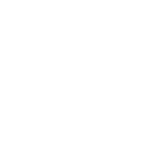 Geleximco logo white